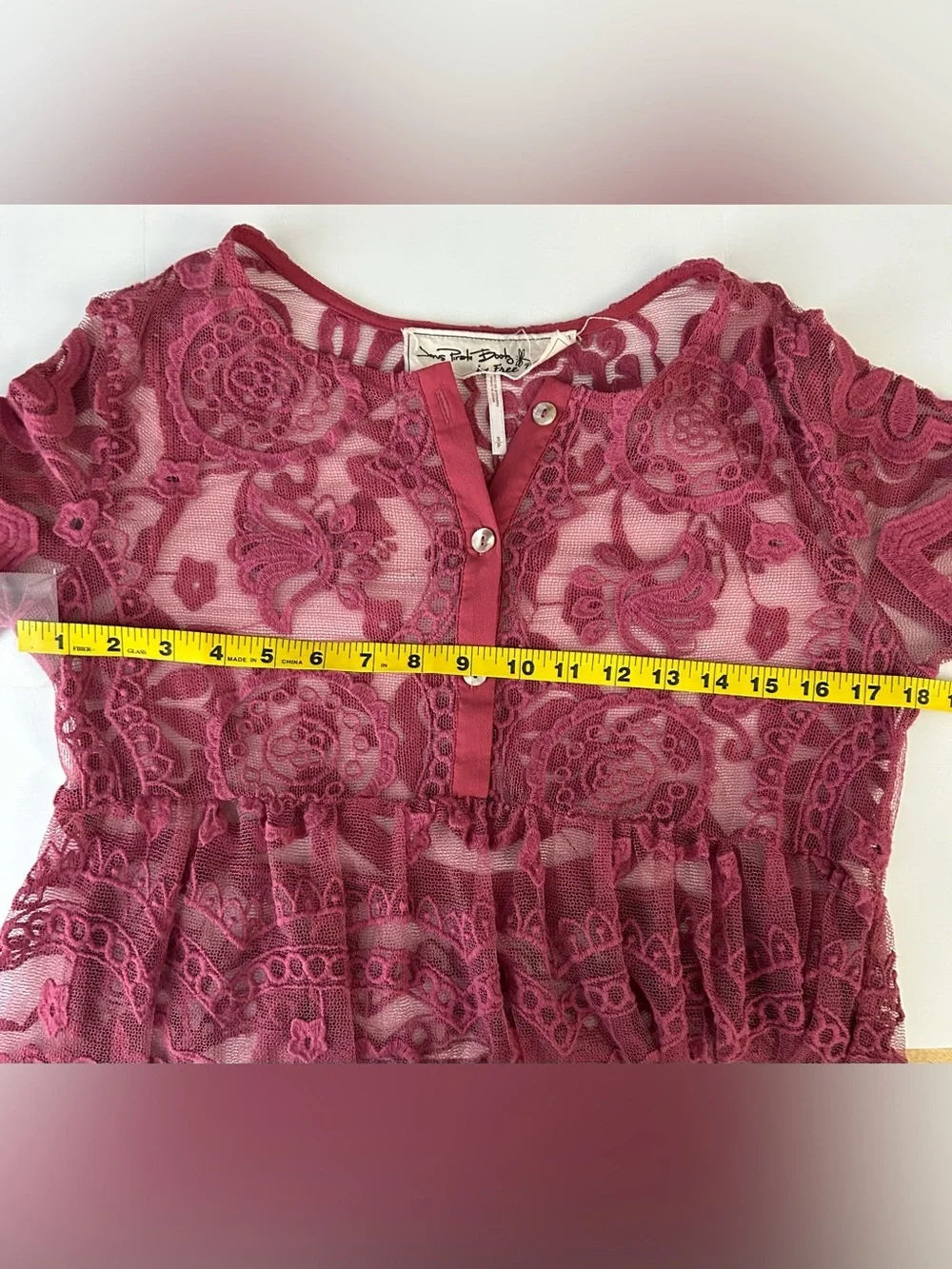 Jens Pirate Booty for Free People Berry Lace Sheer Lace Tunic Dress Overlay